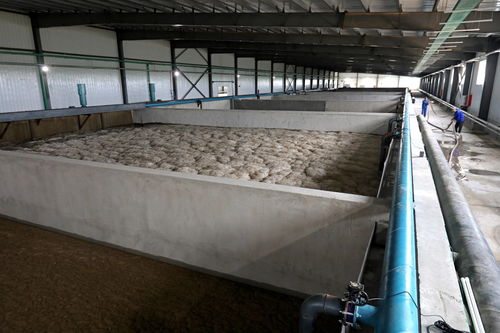 河北察北50萬噸養殖場污水處理項目高效運轉，助力區域生態經濟雙提升